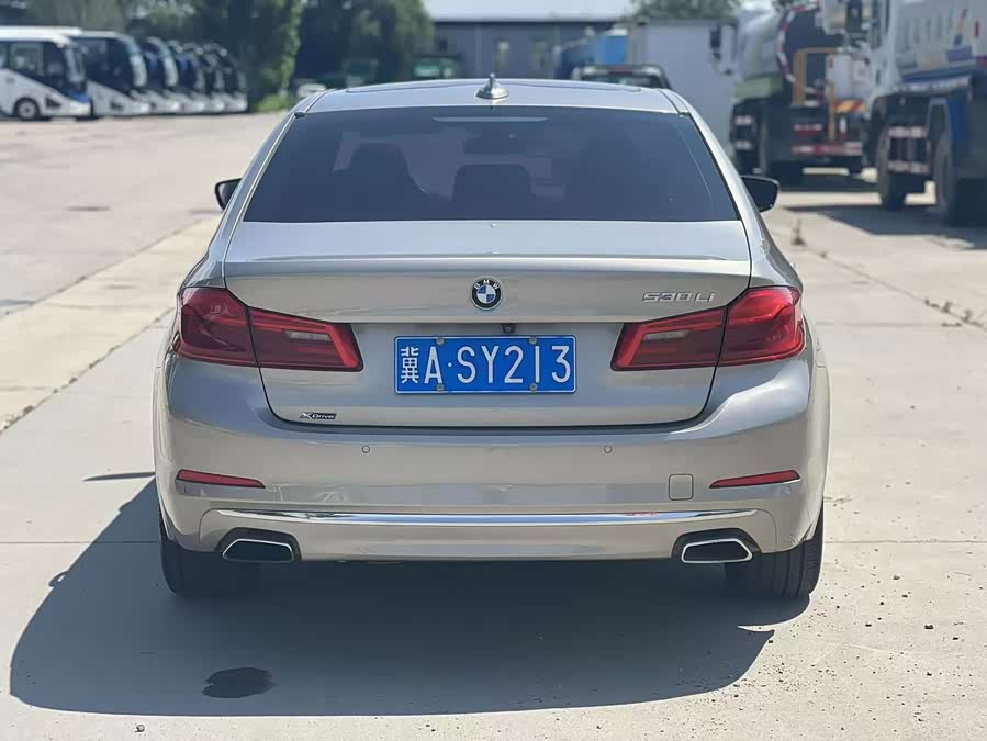 BMW 5 Series 2018, фото 9