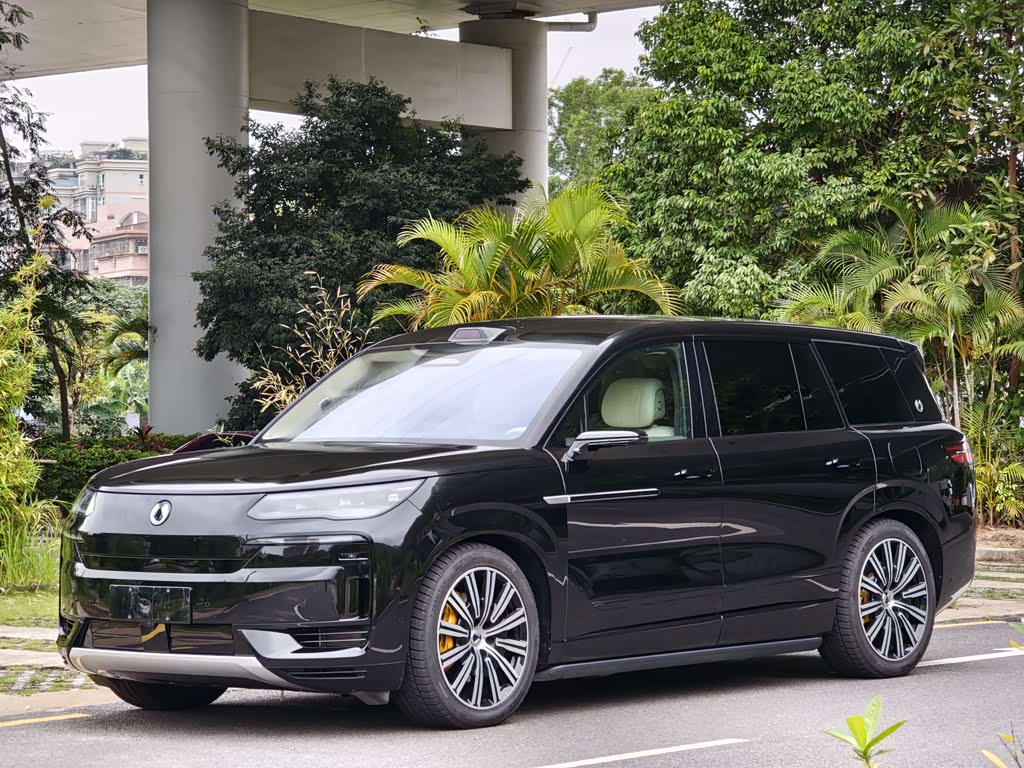 Denza N9