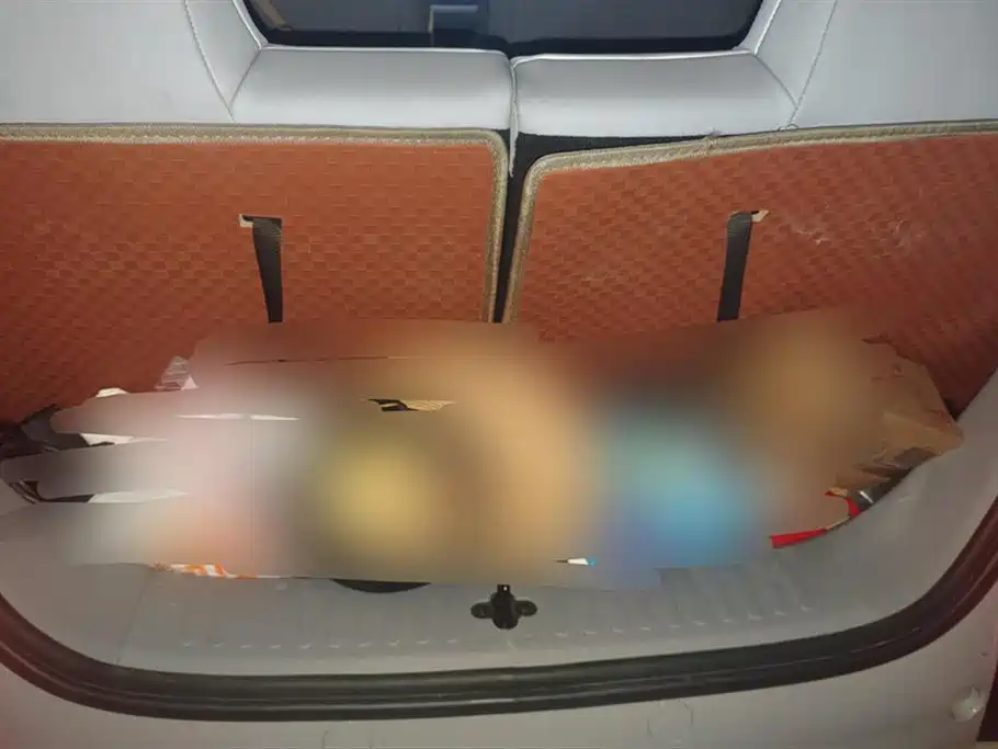 Wuling Wuling Air ev Clear Sky