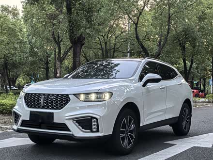 ȫκ VV5 2020 1.5T ȷ
