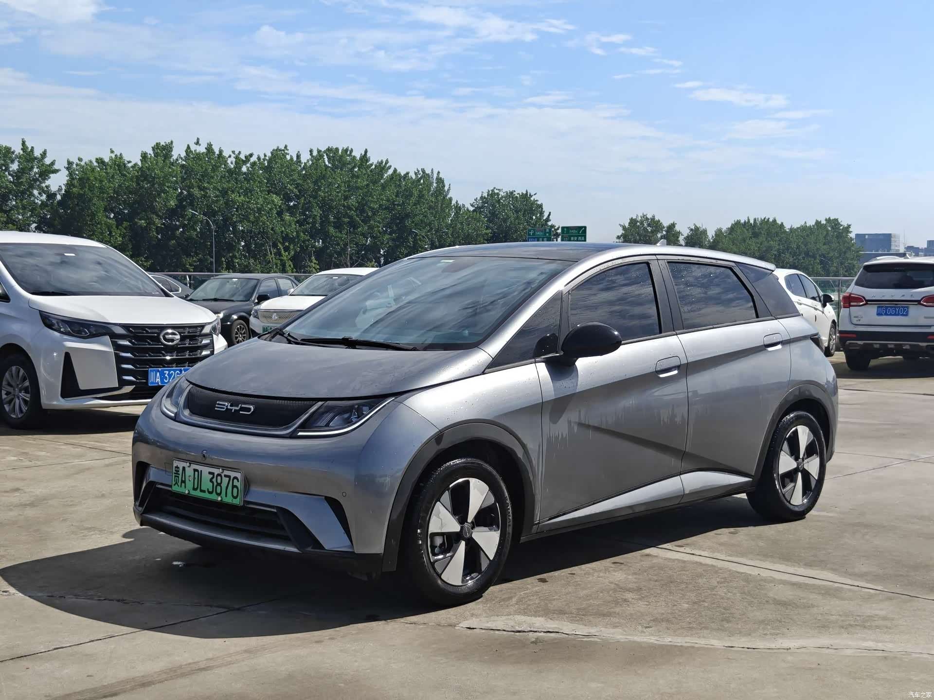 BYD Dolphin, 2024 1