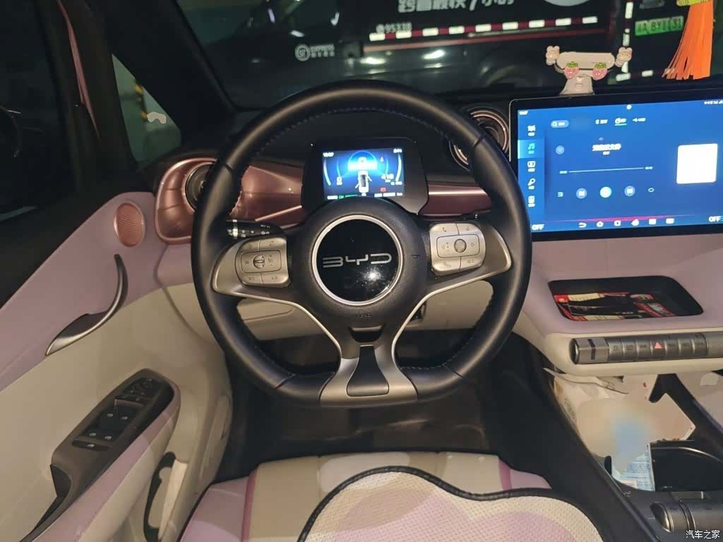 BYD Dolphin, 2023 3