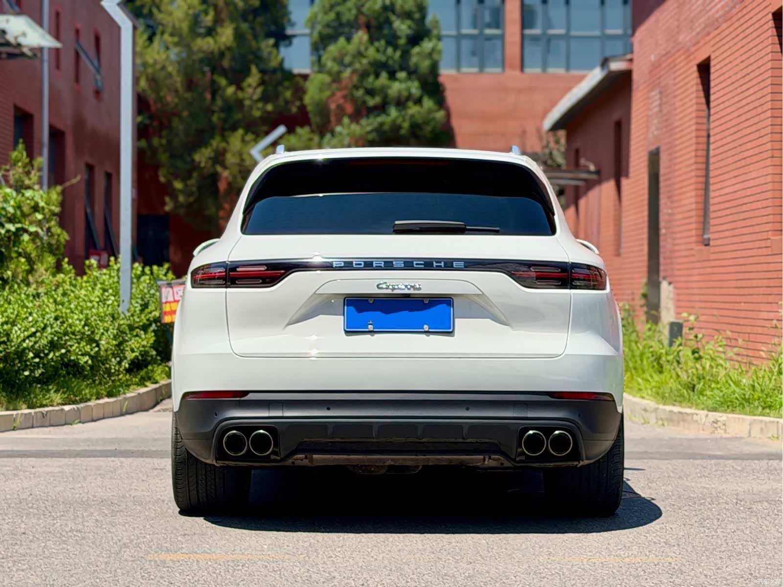Porsche Cayenne, 2022 все фото