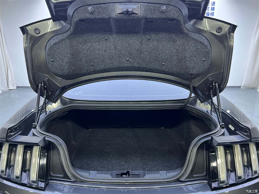 Ford Mustang, 2017 24