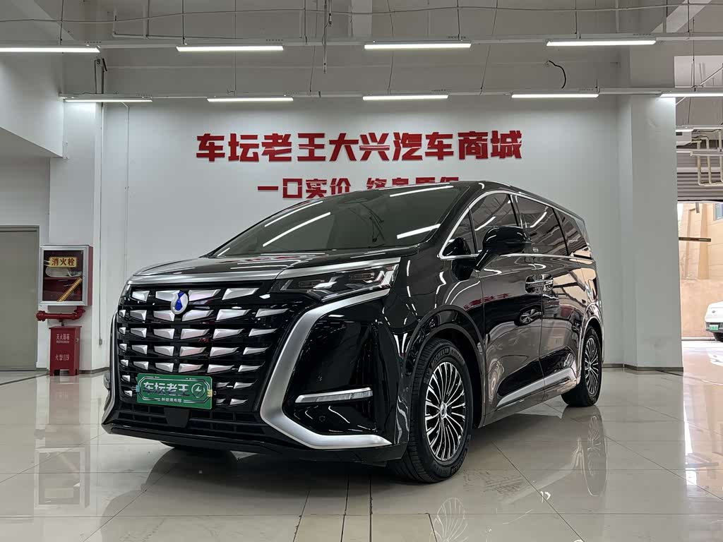 Denza D9