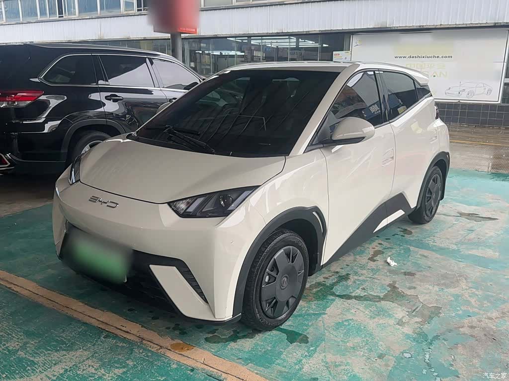 BYD Seagull, 2024 1