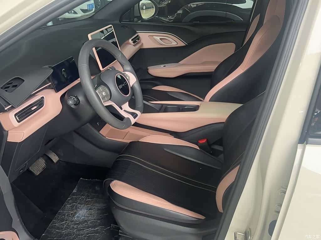 BYD Seagull, 2024 19