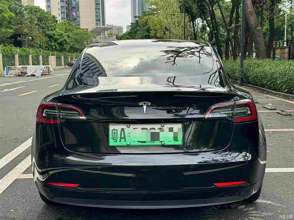 Tesla Model 3, 2020 все фото