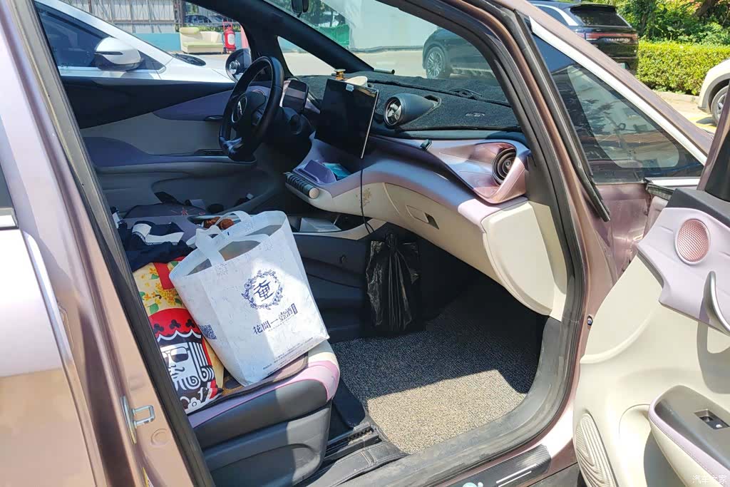 BYD Dolphin, 2022 7