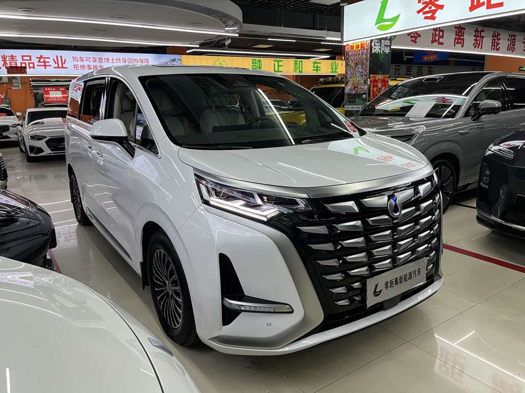 Denza D9
