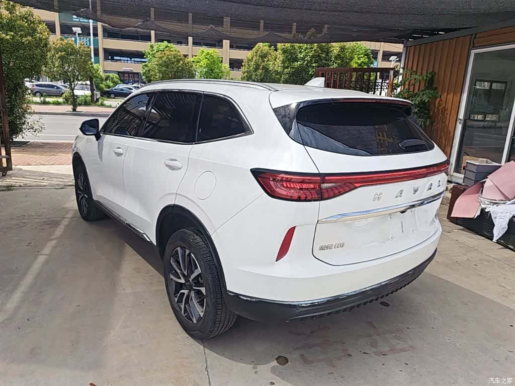 Haval H6, 2023 все фото