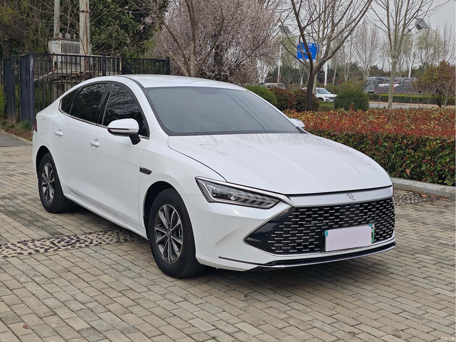 BYD šžŽPLUS, 2025 4