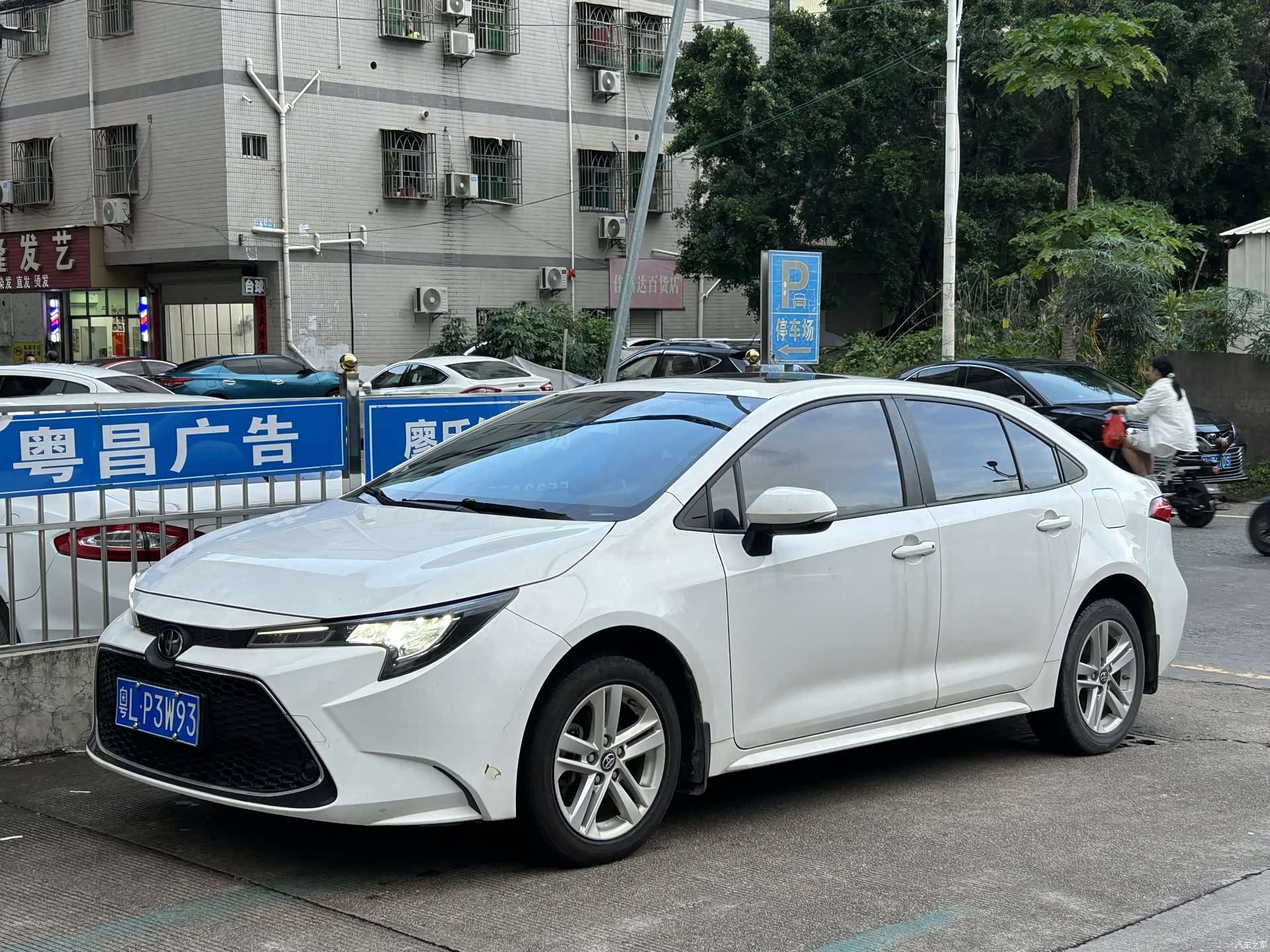Toyota Levin