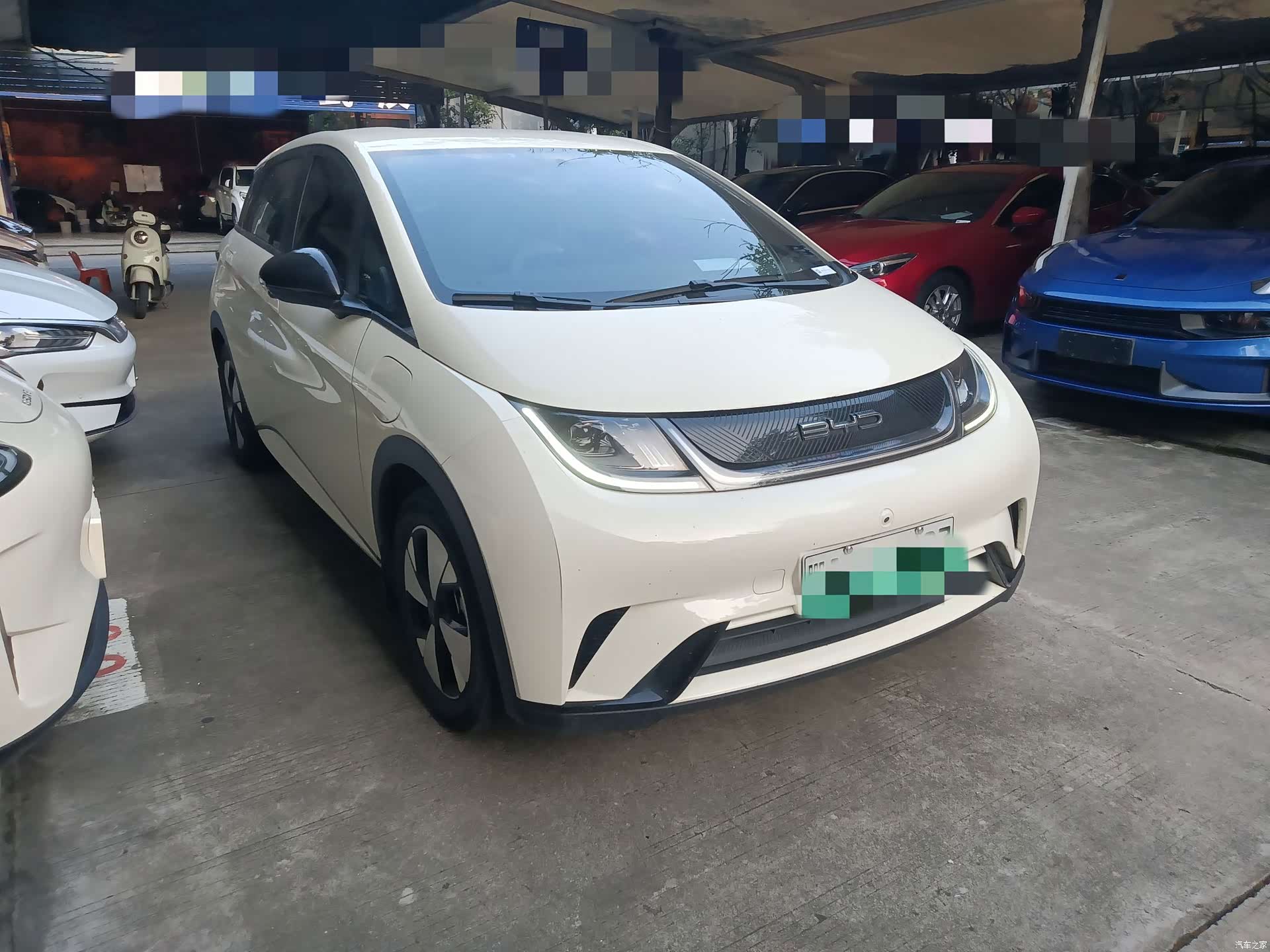 BYD Dolphin, 2023 3