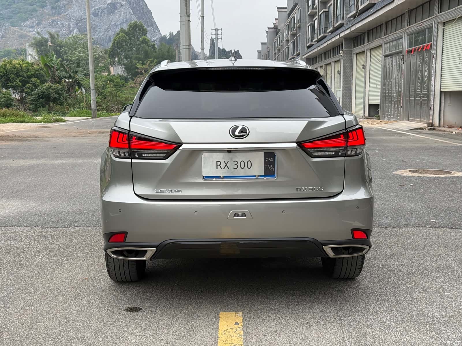 Lexus RX, 2022 14