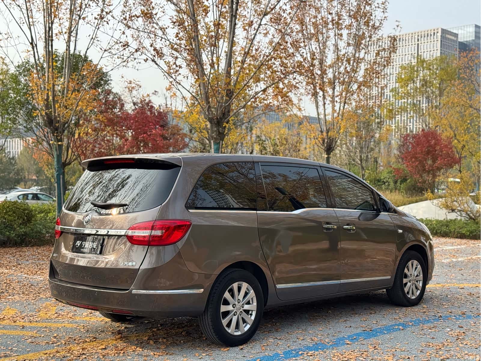 Buick GL8, 2017 22
