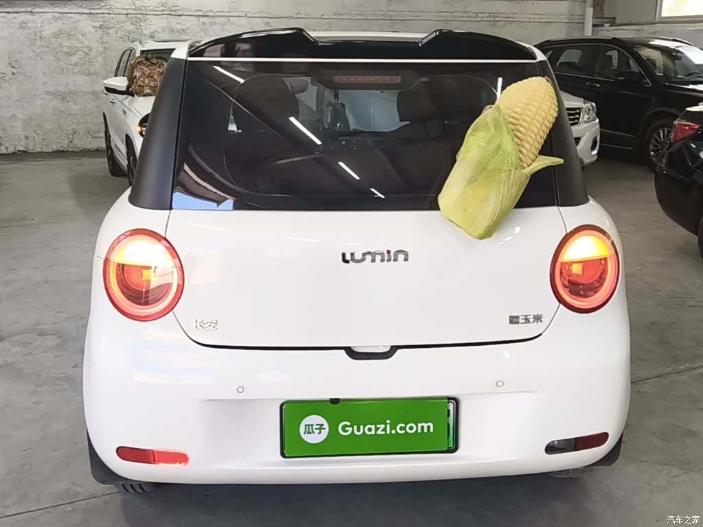 Changan Lumin, 2025 6