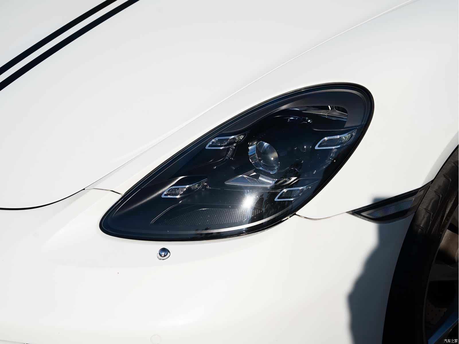 Porsche Cayman, 2022 все фото
