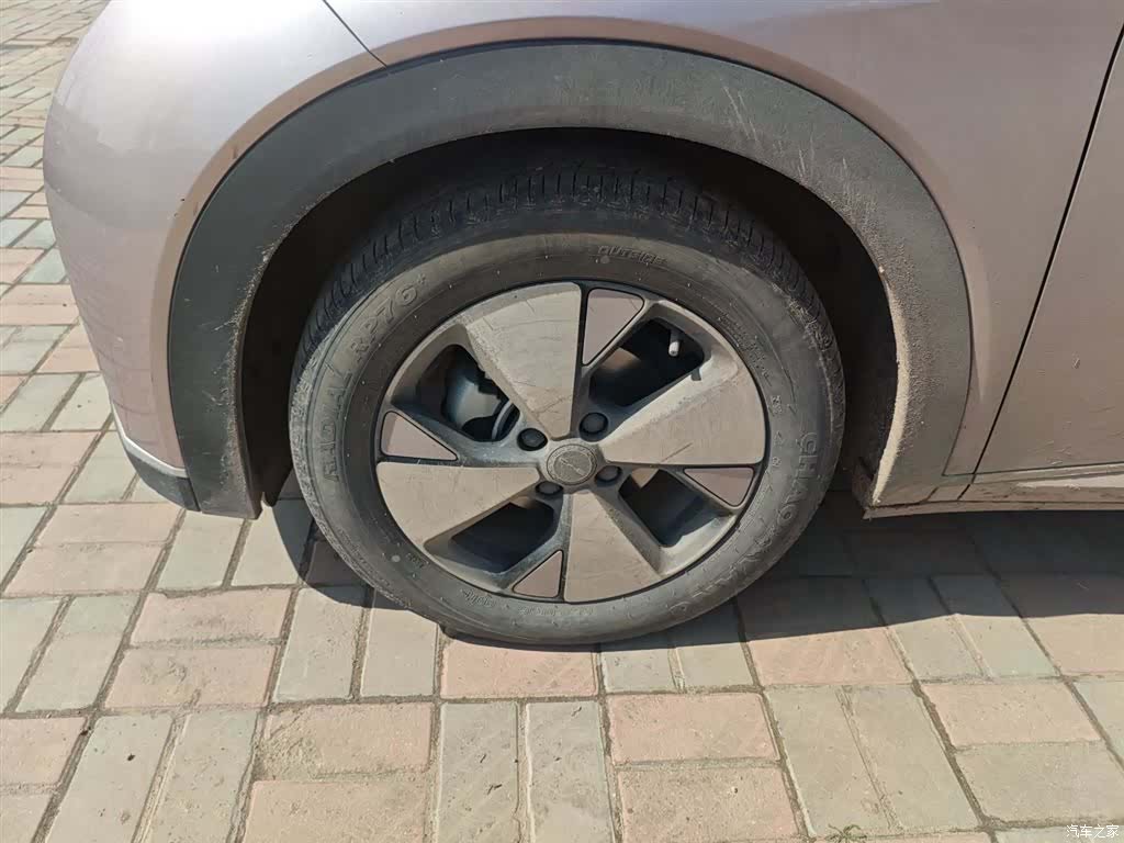 BYD Dolphin, 2023 25