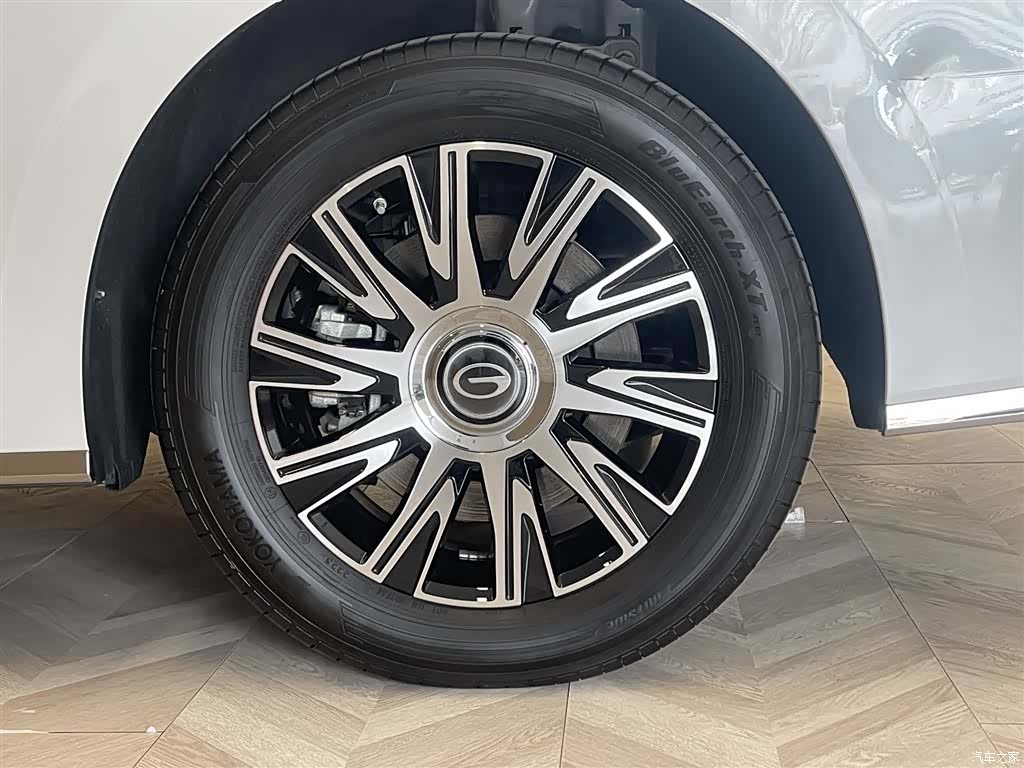 Trumpchi E9, 2025 11