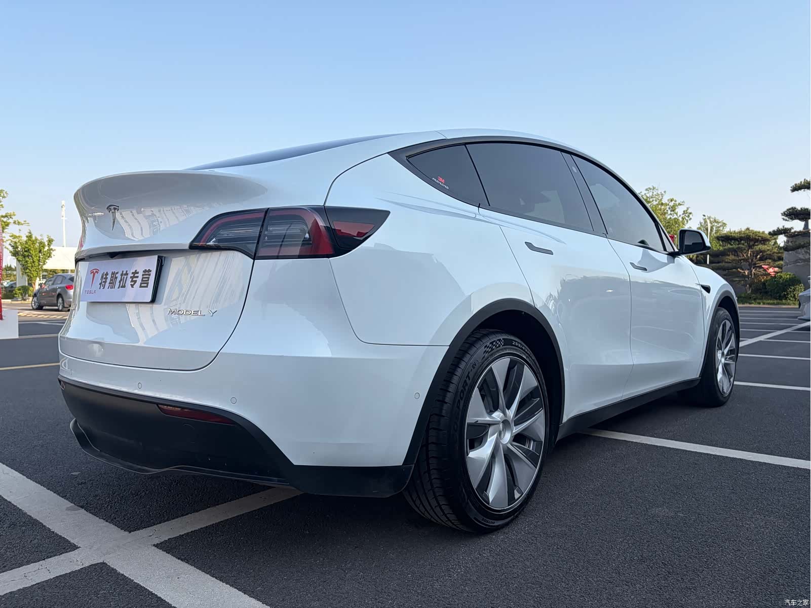 Tesla Model Y, 2023 все фото