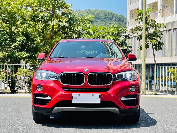 BMW X6 2015 xDrive35i Leading