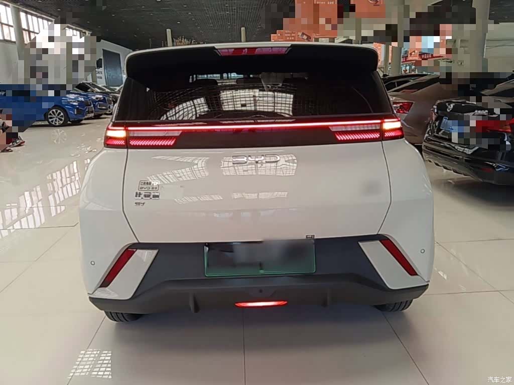 BYD Seagull, 2024 6