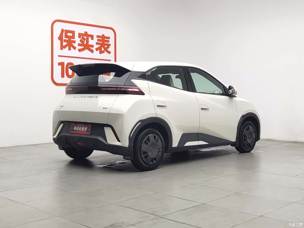BYD Seagull, 2024 2