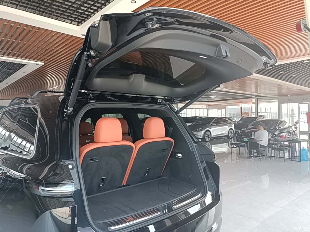 Li Auto L9, 2023 19
