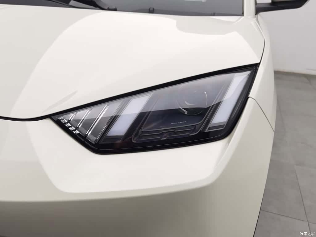 BYD Seagull, 2024 7