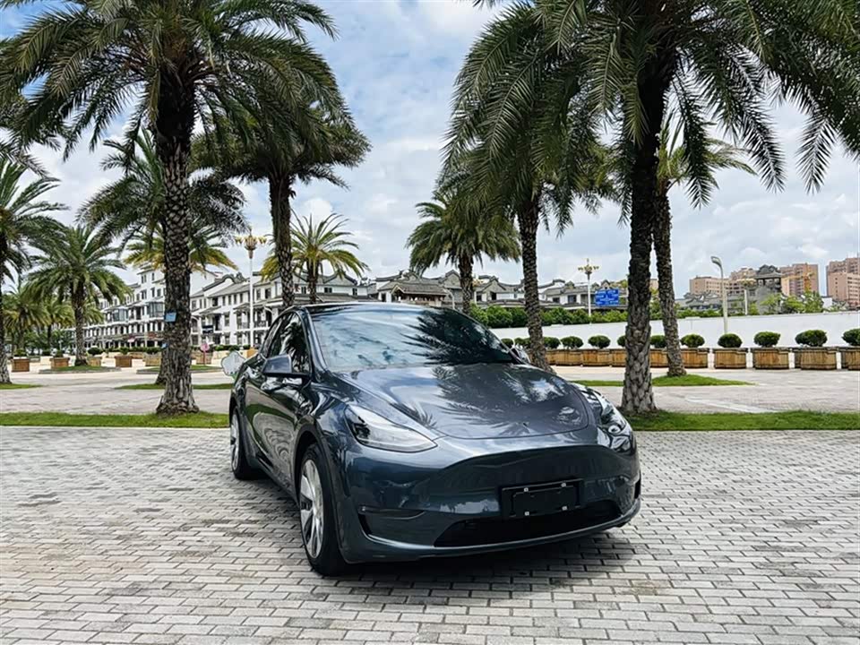 Tesla Model Y Tesla Model Y