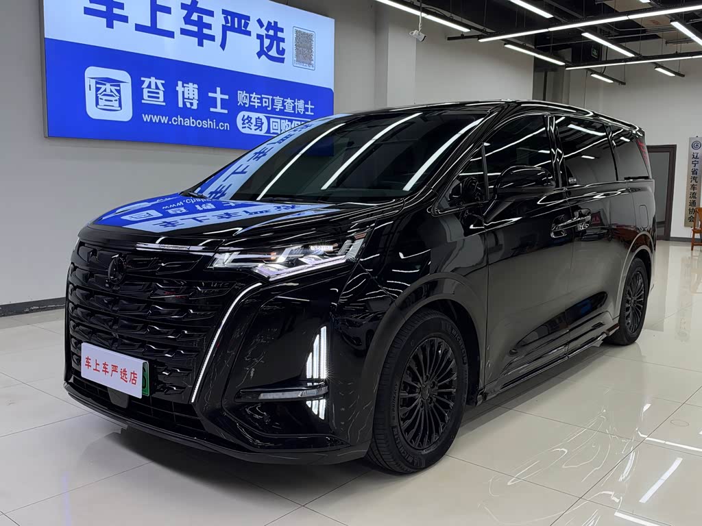 Denza D9