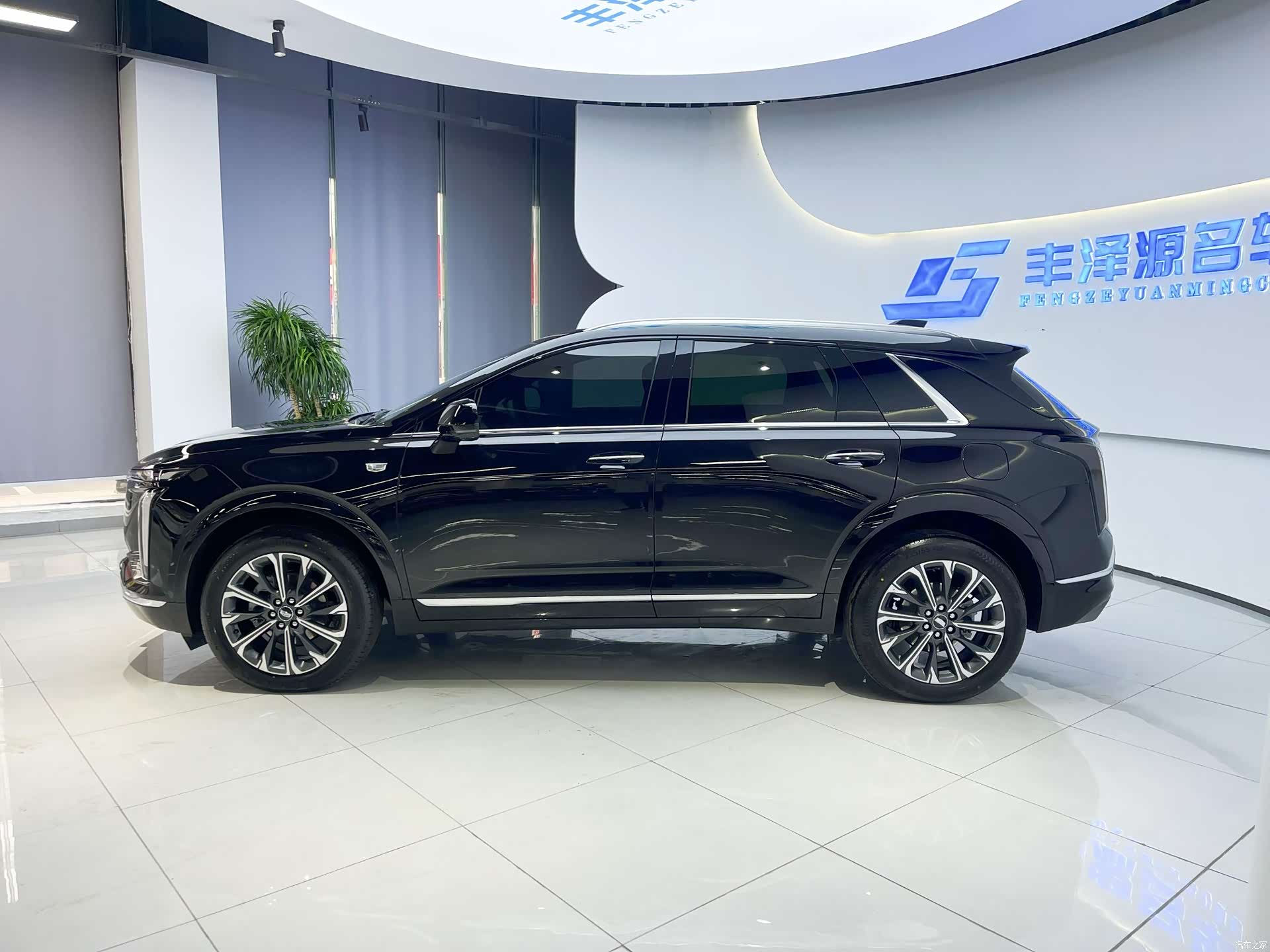 Cadillac XT5, 2025 4