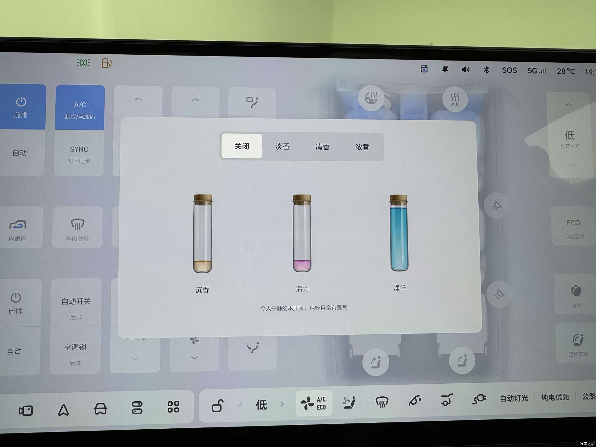 Li Auto L9, 2022 36