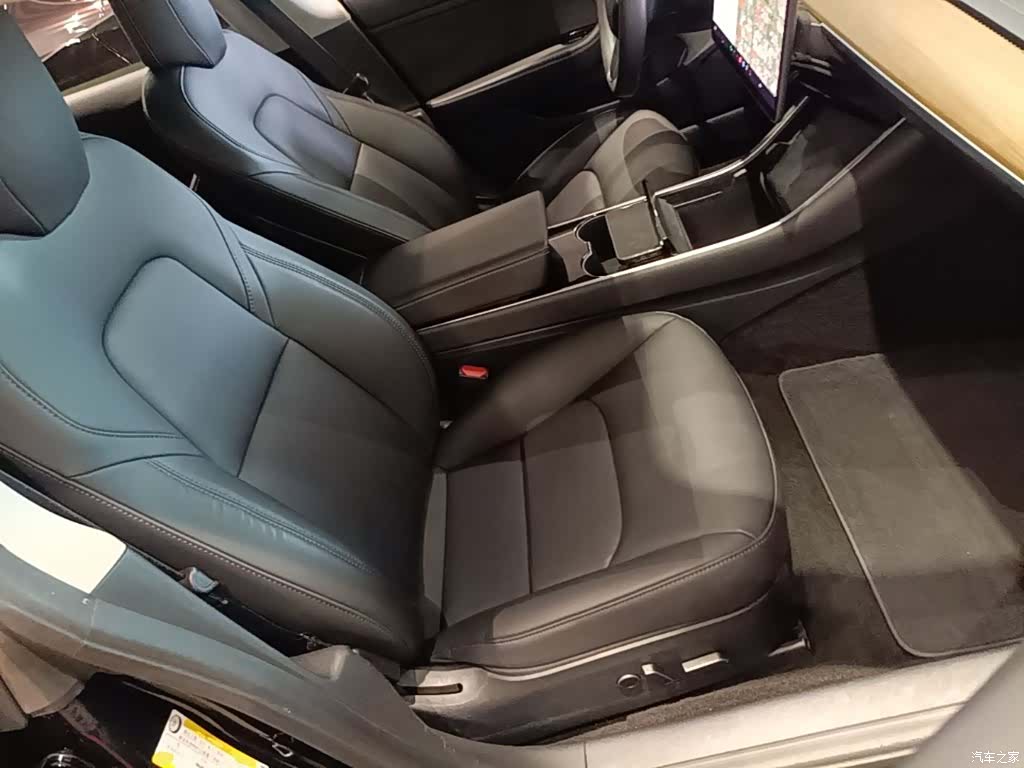 Tesla Model 3, 2021 25