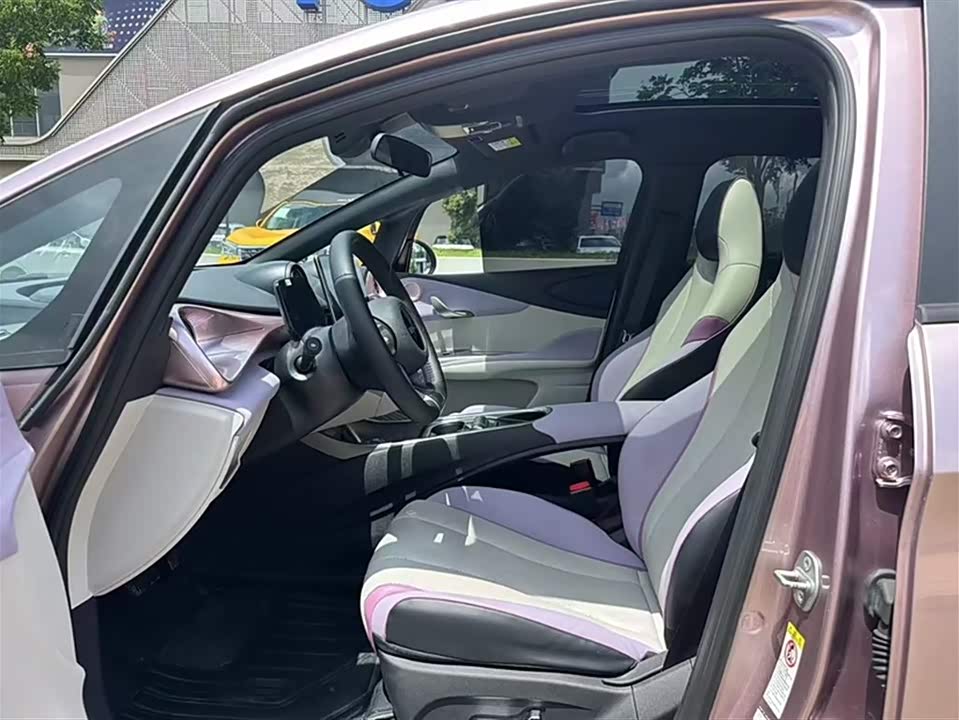 BYD dolphin