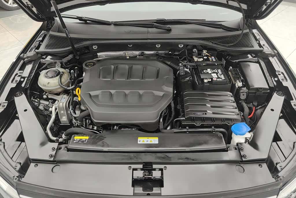 Volkswagen Magotan, 2024 10