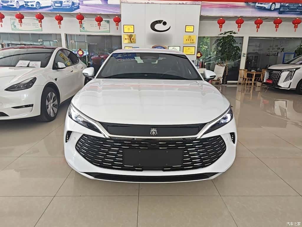 BYD Qin, 2026 3
