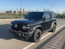 ̹��300 2024�� 2.0T ������
