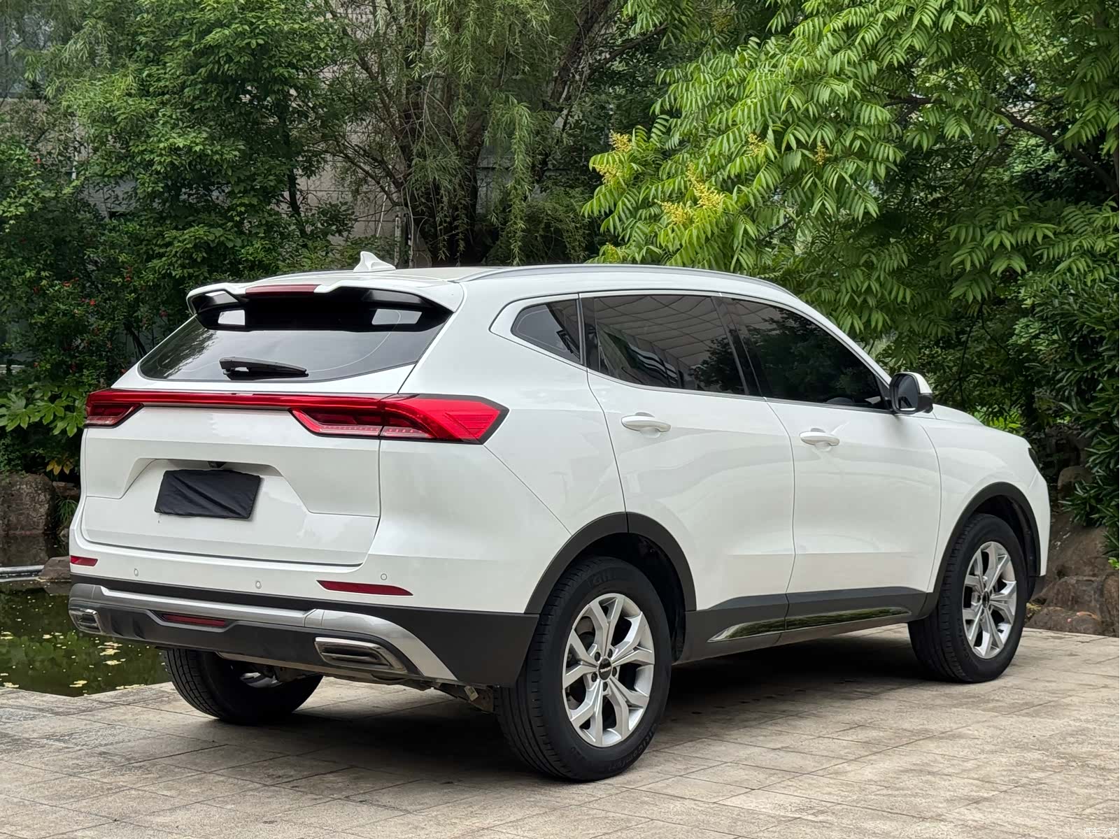 Haval H6, 2022 все фото