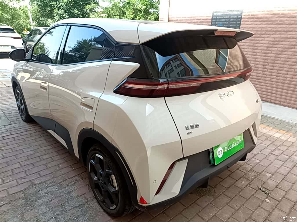 BYD Seagull, 2024 все фото