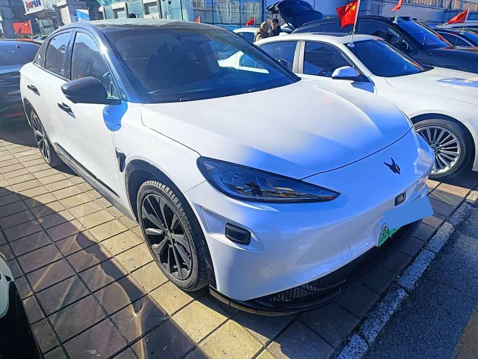 ARCFOX Polar Fox Alpha S