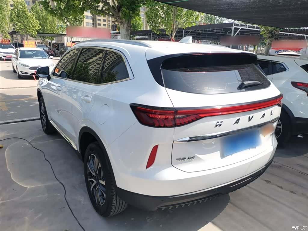 Haval H6, 2023 все фото