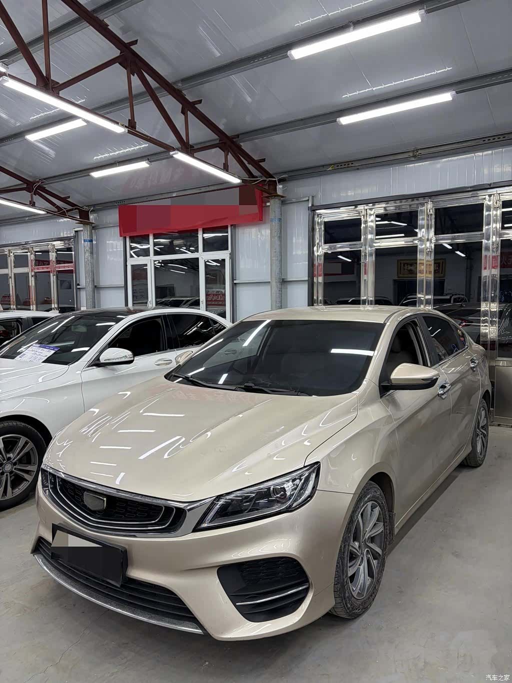Geely Binray, 2019 1