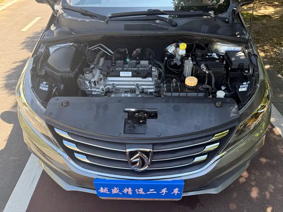 Baoding 310W