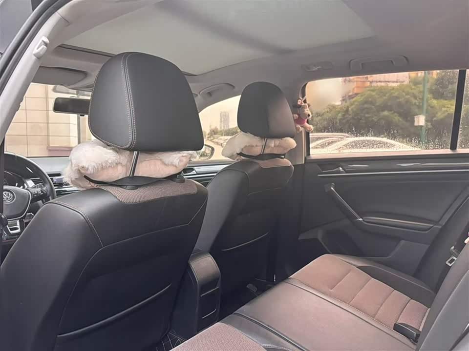 Volkswagen C-TREK Wei Collar