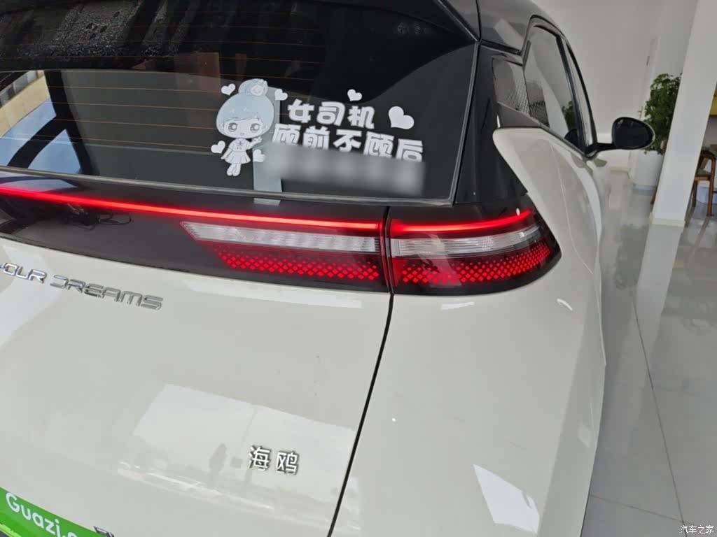 BYD Seagull, 2024 8