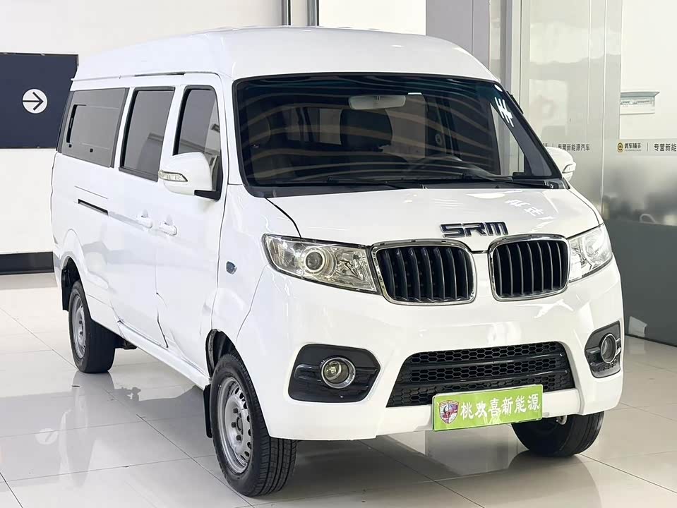 Shineray  Sea Lion EV