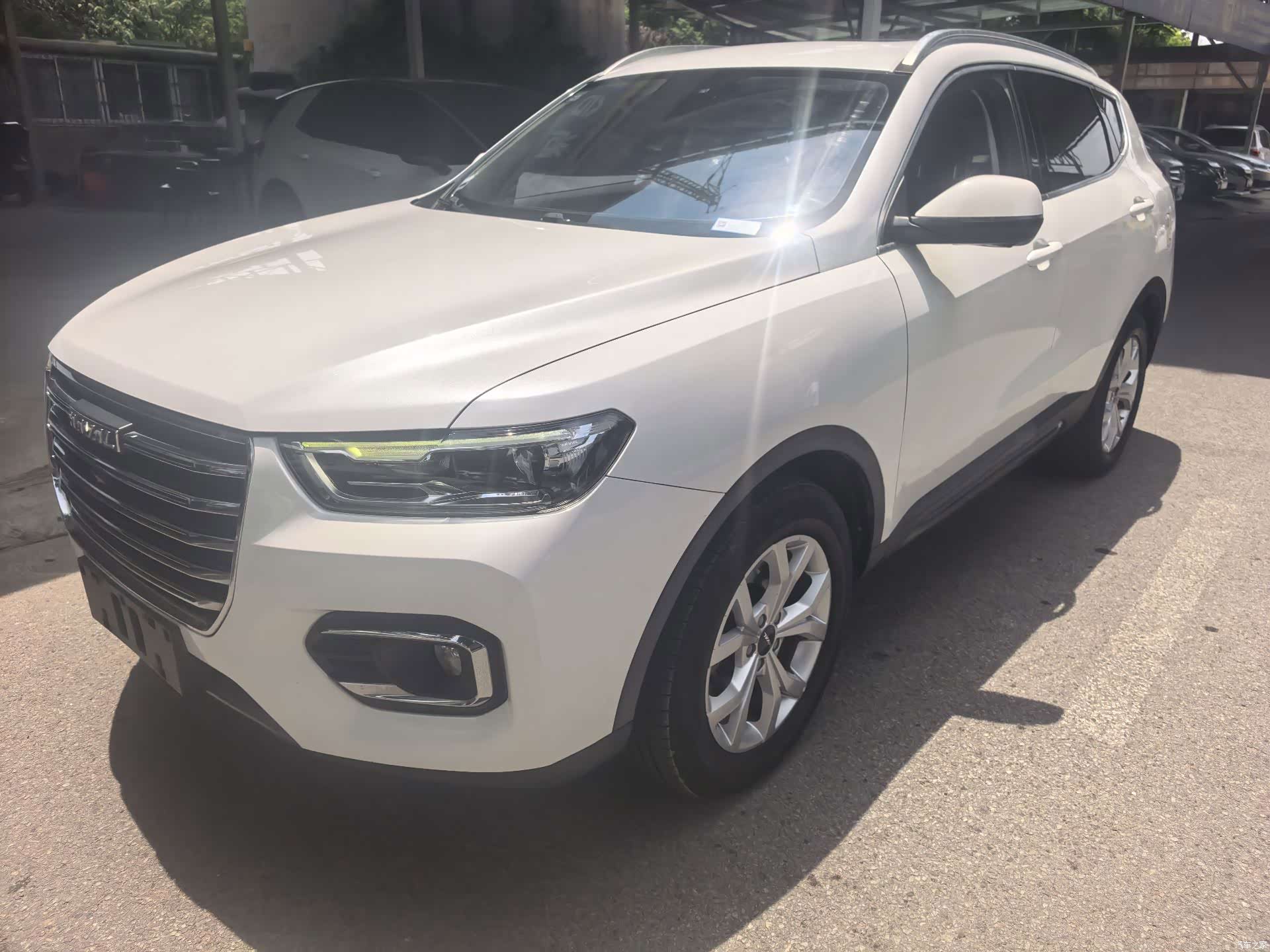 Haval H6, 2019 все фото