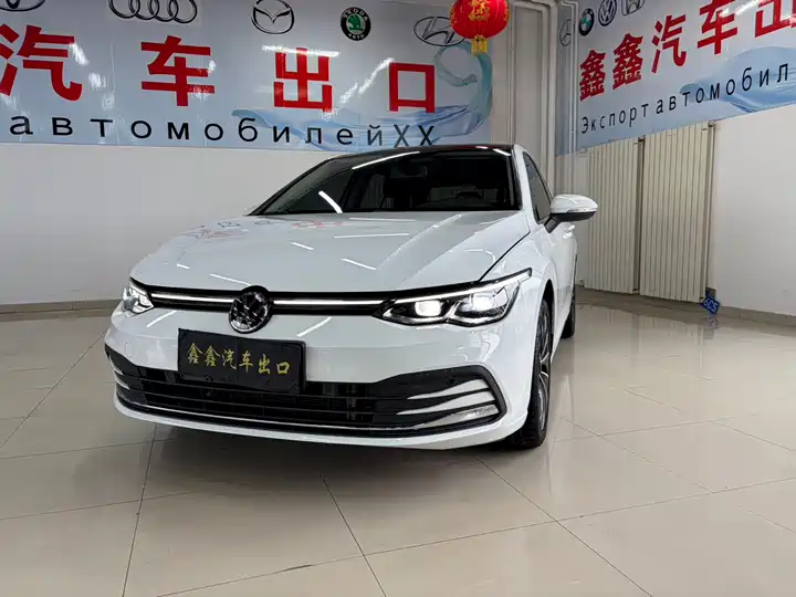 Volkswagen Golf 高尔夫 2021款 280TSI DSG Pro